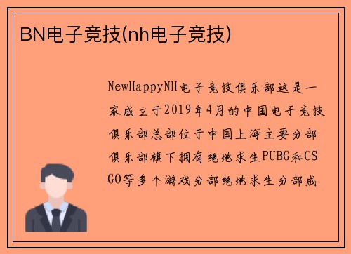 BN电子竞技(nh电子竞技)